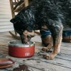 Yeti Boomer 8 Dog Bowl